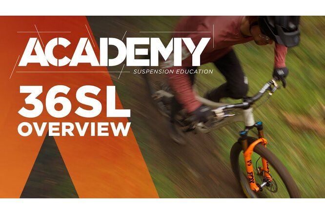 FOX Federgabel Float 36 SL PS 29" Grip 3Pos 140 15QRx110 1.5 T... matte black 44 R