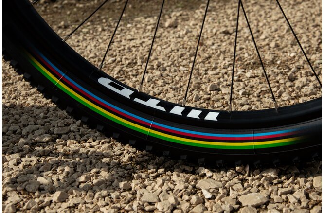 Vittoria Pneu Barzo 29x2.35 TLR schwarz UCI Rainbow Edition