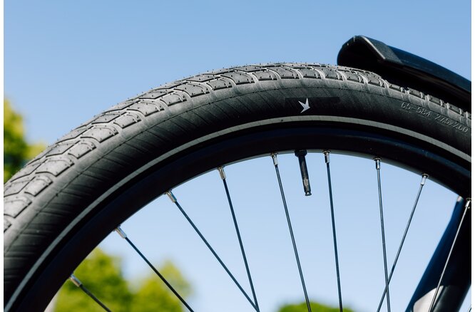 Schwalbe Pneu Motion Big Apple 28x2.15 Addix Green starr mit... Reflexstreifen black