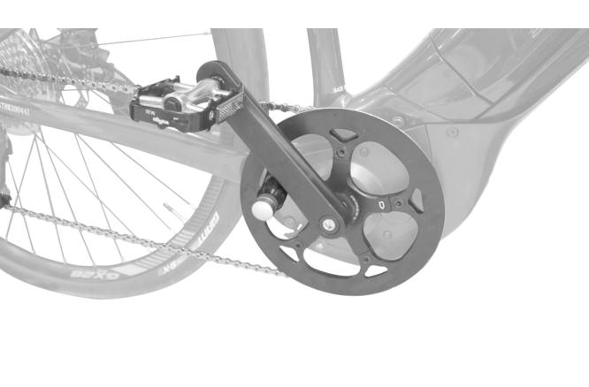 Bike Attitude Bit Set für E-Bike Antrieb Inbus 5/6 mm Torx 30