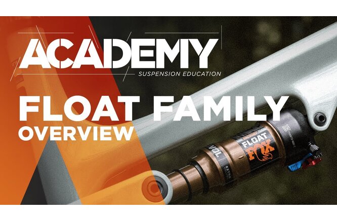 FOX Dämpfer Float PS 2 pos EVOL LV 210x55 0.1 Spacer