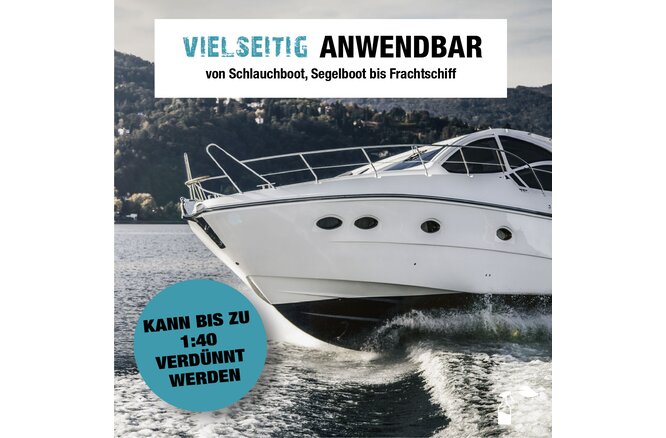 Bio-Chem Bootsreiniger 5000 ml Kanister