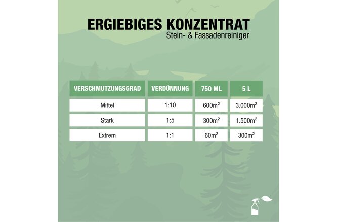 Bio-Chem Stein- und Fassadenreiniger 750 ml mit... Sprühkopf