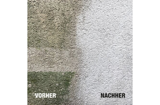 Bio-Chem Stein- und Fassadenreiniger 750 ml mit... Sprühkopf