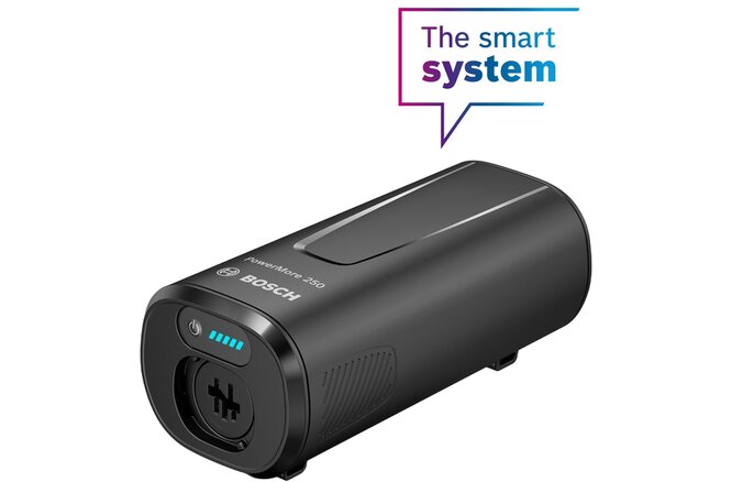 Bosch Rahmenakku PowerMore 250 Wh BBP3620 schwarz
