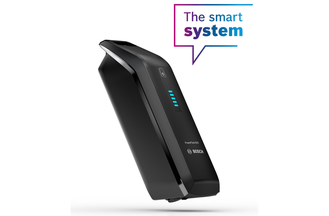 Bosch Rahmenakku PowerPack 800 Wh BBP3580 schwarz