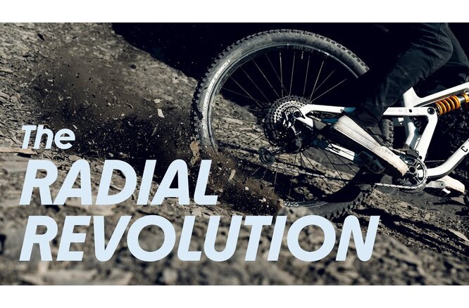 Schwalbe Pneu Albert 27.5x2.50 Trail Pro Addix Soft TL-Ready black