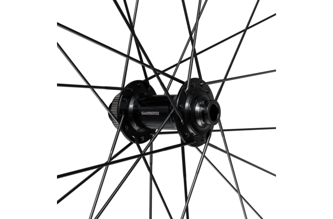 Shimano Laufrad vorne WH-RX180 700C Tubeless 100mm... Center-Lock E-Thru