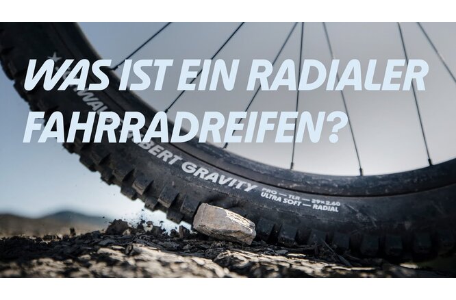 Schwalbe Pneu Shredda Rear 27.5x2.50 Gravity Pro Addix... UltraSoft TL-Ready black
