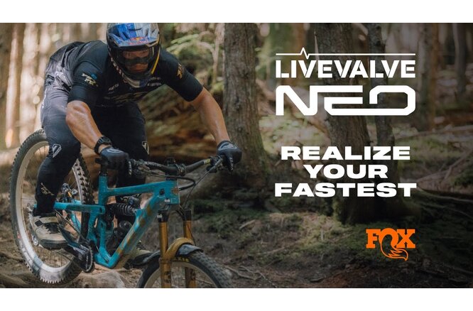 FOX Dämpfer Float X Live Valve Neo FS Evol LV 205x62.5 0.1 Spacer... Trunnion