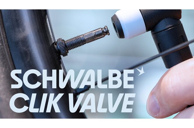 Schwalbe Ventileinsatz Clik Valve SV-SCV Set à 2 Stück &... Pumpenkopf-Adapter schwarz
